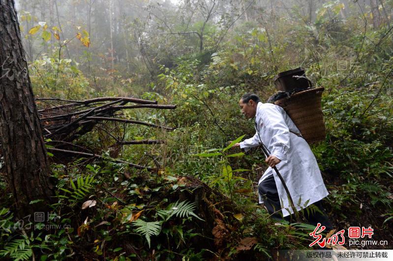 乡村医生坚守大巴山33载_第三届百姓故事