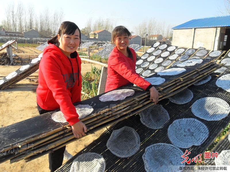 河南内黄县大学生村官帮助留守妇女晾晒粉皮_