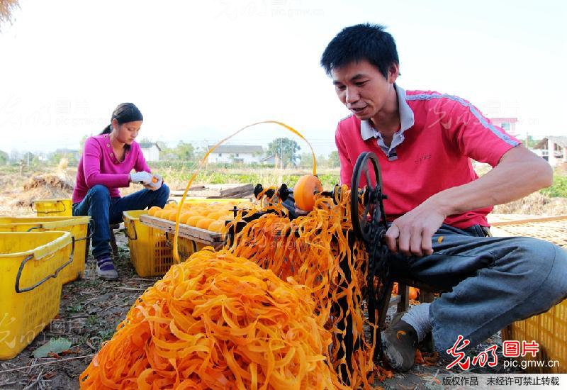 广西恭城:柿子丰收加工忙_新闻