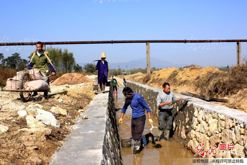江西乐安:大力实施高标准农田建设_邹春林
