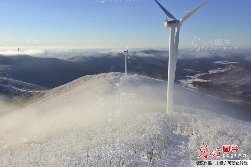 黑龙江雪景美如画_新闻--自然环境