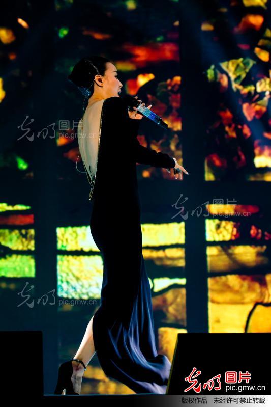 2013那英南京演唱会