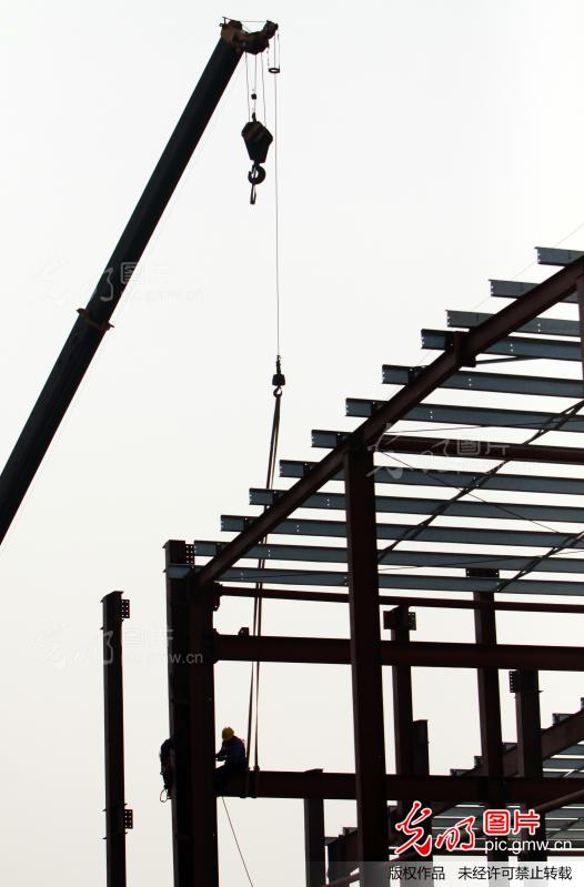 浙江嘉善:高端物流项目 搭建主体仓库_胡凌翔