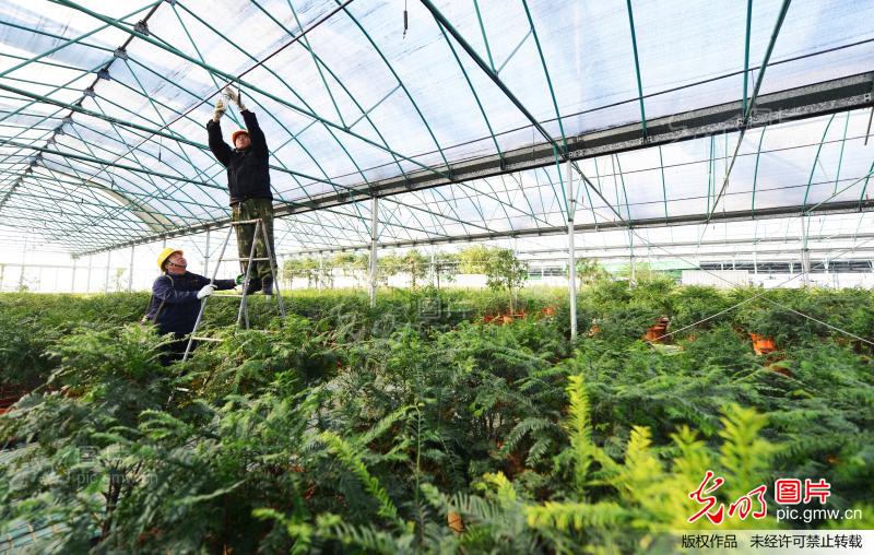 邹平12月GDP_邹平一中图片