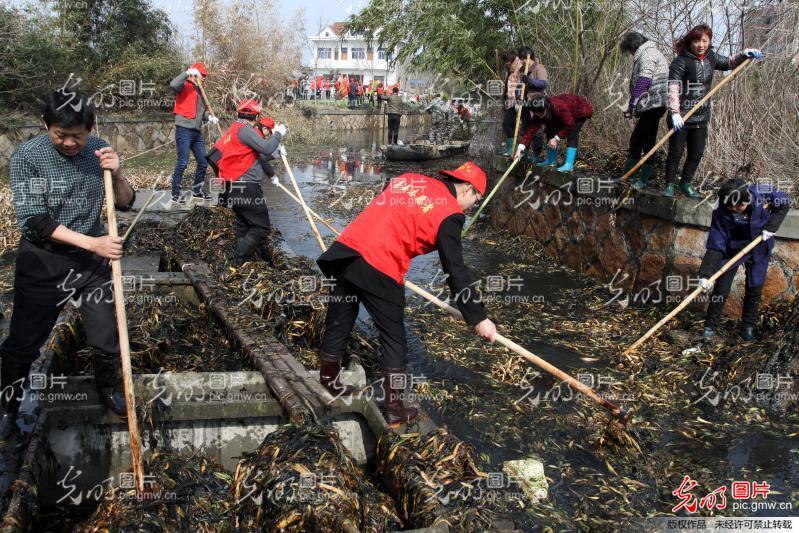 浙江嘉善:全民参与行动 助推五水共治_新闻