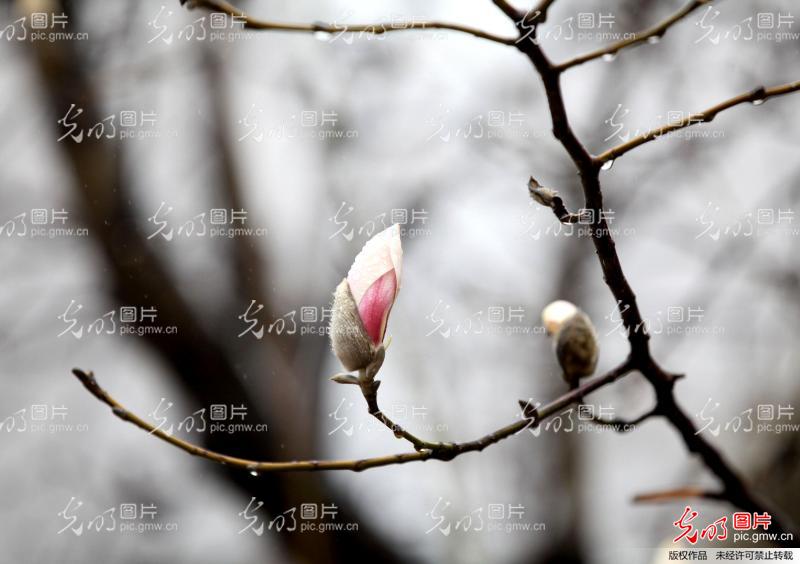 20140226124943_3424.jpg