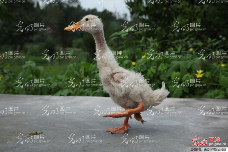 20140716140822_6429.jpg