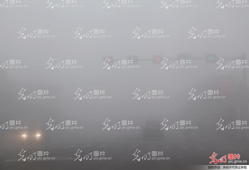 河南省平顶山市出现浓雾天气高清图片