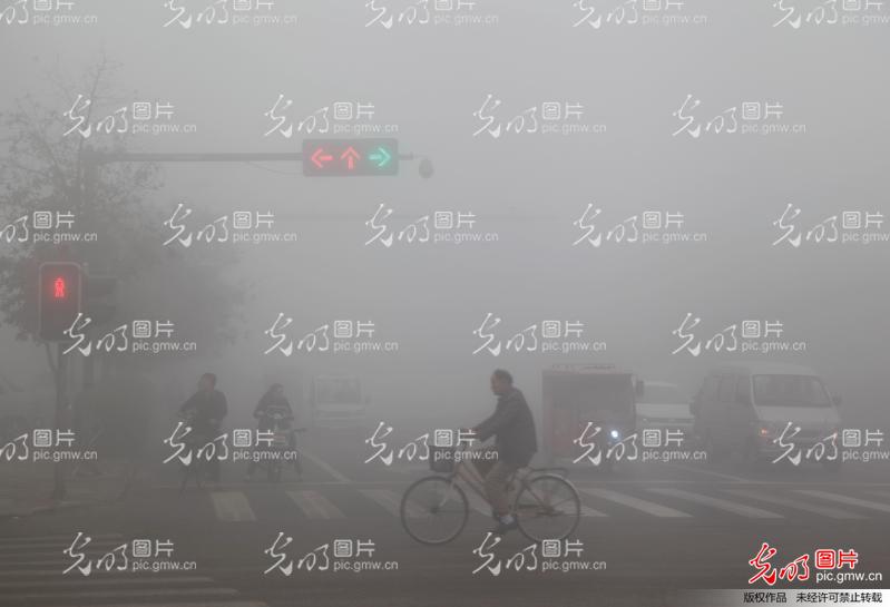 河南省平顶山市出现浓雾天气高清图片