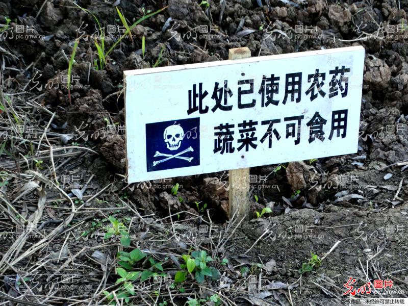 20141104093722_2523.jpg