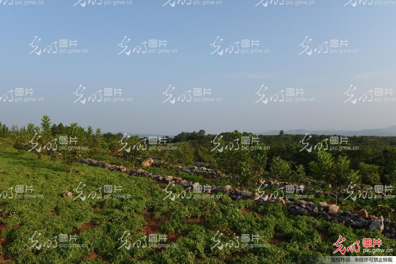 淅川gdp_淅川牛尾山图片