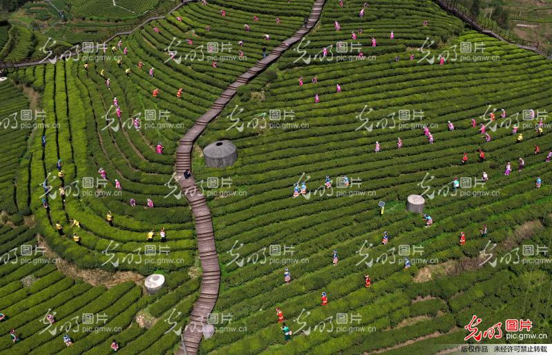 重庆茶园新区经济gdp_郭家沱大桥新开工,江南新城今年还将建一大波项目(2)