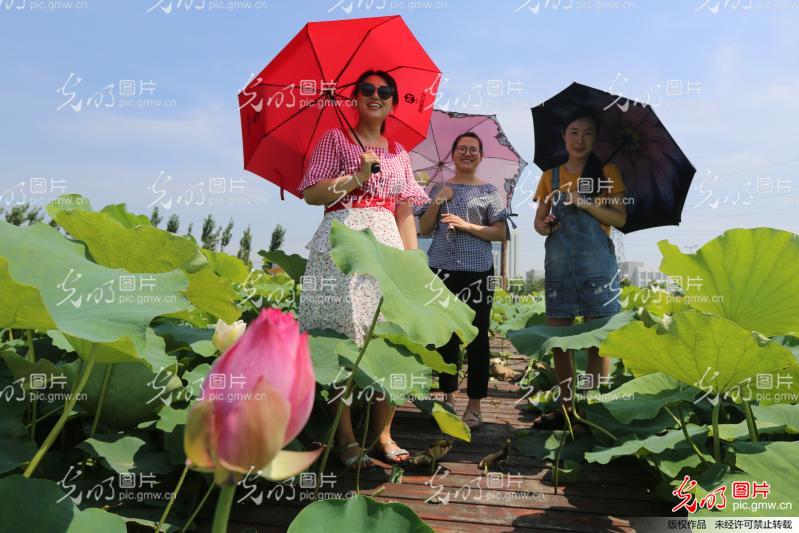 浦南镇gdp_海州区浦南镇徐飞