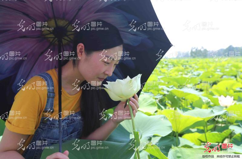 浦南镇gdp_海州区浦南镇徐飞