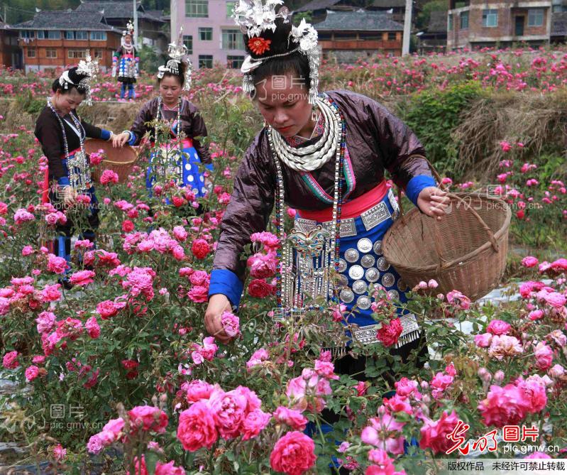 醉逍遥传奇私服游戏截图4