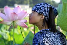 江西广昌:10万亩莲花竞相绽放迎客来_新闻--自