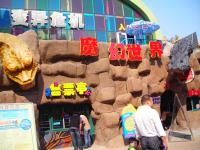 青島中山秋意濃﹑樂趣多