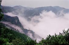 浔阳江头在现在的什么位置 20130128205439_3062.jpg