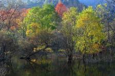 20130128205529_7933.jpg