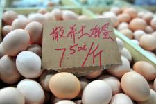 鸡蛋价格持续攀升 20130201170956_6303.jpg
