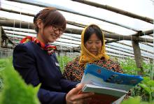 沂南信合服务延伸到地头_王彦冰