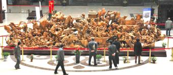 现代知识青年体验上山下乡的生活_新闻