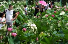 20130715141318_1328.jpg