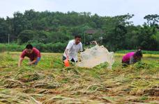 安徽淮北:游戏减压快乐工作_新闻