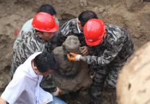 河北海兴深千年铁佛面世_新闻