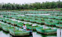 江西鄱阳:无泥养鳝绩效高