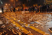 湖北宜昌推掌上公交APP 市民可实时查询公