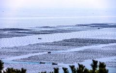 山东荣成:海洋牧场美如画_新闻