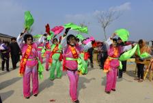 山东茌平:东北大秧歌舞动春天的鲁义姑庙会_新
