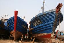 山东无棣:体检渔船备春捕_新闻