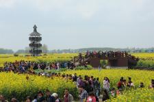 江苏省兴化千垛菜花风景区:花海与人海交织