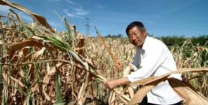 辽西遭受50年不遇的严重干旱_新闻