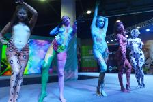 人体彩绘动物秀亮相杭州_新闻