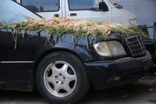 奔驰车上晒大葱 街头拦路晒茄子 盘点市民各种