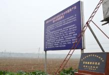 湖南澧县:政府价格调节基金扶持无公害蔬菜生