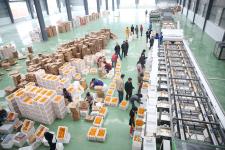 全国首条蜜橘糖度分选机落户江西南丰_袁智