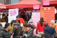 开封市举办2015年春风行动大型招聘会_新闻