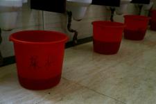 甘肃平凉别墅式公厕惊现红色尿桶_郑兵