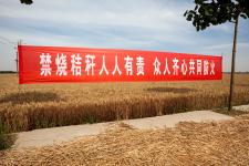 河南滑县:高温麦收防火灾 秸秆禁烧标语敲警钟