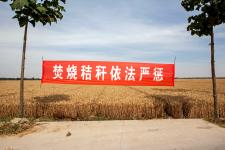 河南滑县:高温麦收防火灾 秸秆禁烧标语敲警钟