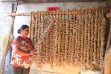 山西原平:蒜瓣连起农民收入钱串_吉建平