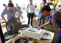 江苏赣榆海鲜市场热卖火爆_朱代桂