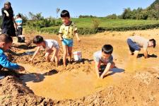 湖北宜昌:乡村捉泥鳅 童趣乐无边