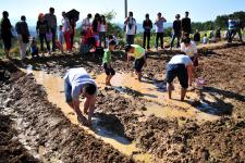湖北宜昌:乡村捉泥鳅 童趣乐无边
