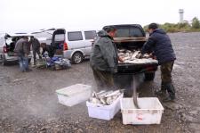 受日本核辐射污染传言影响 2011年黑龙江抚远