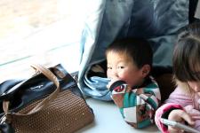 K8412次列车春运目击_2016回家过年图片征集